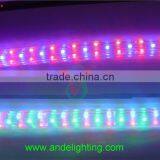 LED Rainbow Rope Light Flat Three Wire Rope Lighting for Outdoor Decoration thumbnail-4