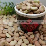 BROAD BEANS thumbnail-4