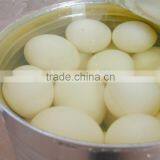 Canned Food (quail Eggs)