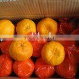 Fresh Mandarin Orange thumbnail-1