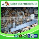 New Season Factory Wholesale Mixed Iqf Mushroom thumbnail-1