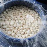 2015 Pickled Garlic Cloves 250-350 garlic in brine White garlic pure white garlic