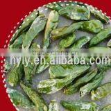 Green Chilli g4 thumbnail-1