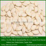 Chinese Snow White Pumpkin Seeds in Bulk for Snack thumbnail-1