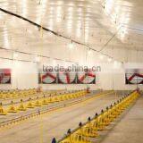 Hang Yu Farming Automatic Chicken Drinking and Feeding Line System Poultry Equipment For Chicken Farm thumbnail-4