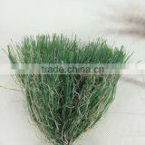 10000 Dtex/16F PE & PP Curl Artificial Grass Yarn for Grass Turf thumbnail-1