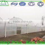 Commercial Climate Control Strawberry Greenhouse With Thermal System thumbnail-4