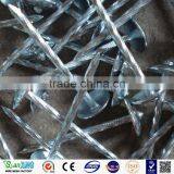 Competitive Price Umbrella Roofing Nails Directly Manufacturer thumbnail-1