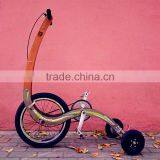 No Seat Fitness Folding Bike, Exercise Sports Car Ride, Weight Loss Outdoor Pedal Bicycle For Wholesale thumbnail-3