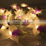 Warm White Operated LED String Lights thumbnail-2