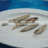 Best Quality Bonito Flake Fish Fillet thumbnail-1