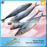 Hot Sale Competitive Prices Land Frozen Mackerel Fish Benefits thumbnail-2