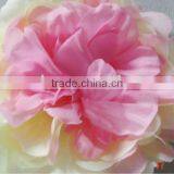 Flower Peony thumbnail-1