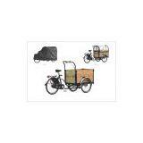 Electric Tricycle thumbnail-2