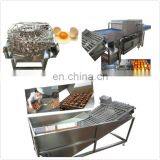 Factory Supply Egg Breaking and Separating Machine for Sale thumbnail-3
