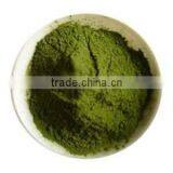 Organic Wheat Grass Powder for Sales thumbnail-1