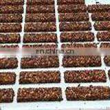 Low Price Multi Use High Performance Stainless Steel Automatic Ice Box Cookies Machine With Retail thumbnail-5