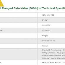 Mstland API600 CAST STEEL FLANGED GATE VALVE (600LB) thumbnail-2