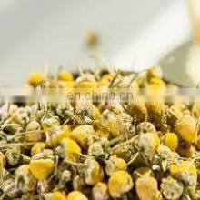 Chrysanthemum Tea Extracted From Chrysanthemum Flower the Optimal Choice for Your Health From Vietnam thumbnail-5