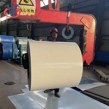 Листовой прокат окрашенный цветным покрытием из оцинкованной стали PPGI/HDG/GI/SECC thumbnail-4