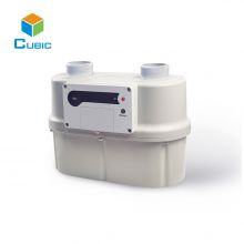 G25/G40/G65 Commercial GPRS/NB-IoT Smart Gas Meter IP65 Made in CN