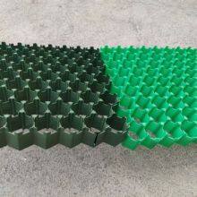 5cm7cm Flower Mouth Flat Mouth Grass Green Parking Lot Fire Lane Roof Garden Grass Planting Grid thumbnail-3