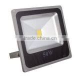 Factory Direct Import 50W Led Floodlight