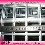 Hot Sale 3mm Wire 50mm Mesh Welded Mesh Wire