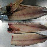 Frozen Mackerel Fillets High Quality