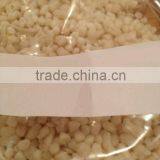 NP Bioplastics thumbnail-1