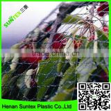 virgin HDPE knotted wire protect flowers from birds net