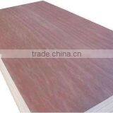 Liansheng export plywood for 9 years with wood plywood used for plywood construction