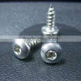 DIN7981 Pan Head Self-tapping Screw thumbnail-4