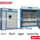 CE approved /popular chicken egg incubator/ free maintenance