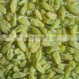 Dry Grape thumbnail-1