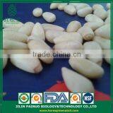 Wholesale Factory Direct Top Quality Chines Red Korean Pine Nut Kernels thumbnail-2