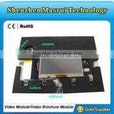 High Quality 10 Inch LCD Screen Module of Video Brochure/Digital Photo Frame