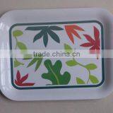 custom image logo plastic tray