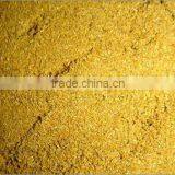 Coriander Powder thumbnail-1