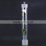 2016 Yiwu Aimee Wholesale Fresh Colorful Preserved Flower(AM-PF08) thumbnail-2