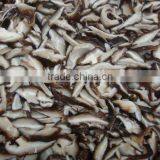 Supply Canned Shiitake Slices