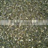 Pumpkin Seeds Kernels Grown Without Shell A thumbnail-4