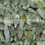 Bulk Pumpkin Kernels Grow Without Shell for Oil Use Export Grade thumbnail-1