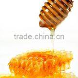 Zhuoyu-apple Honey thumbnail-1