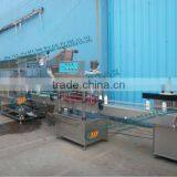 Leadworld LW-AFM Apple Juice Filling Machine With Multiple Heads