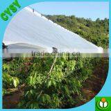 Plastic Woven Cover Film, Hdpe Large Tree Cover Film for Greenhouse or Cherry Tree Protection thumbnail-3