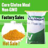 Supply Corn Gluten Meal 65 Protein Feed Grade