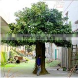 hot sale live ficus tree large outdoor artificial trees