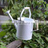 Colorful Decorative Metal Watering Cans With Two Handles for Kids thumbnail-2