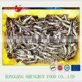 High Quality Salted Anchovy Fillet thumbnail-5